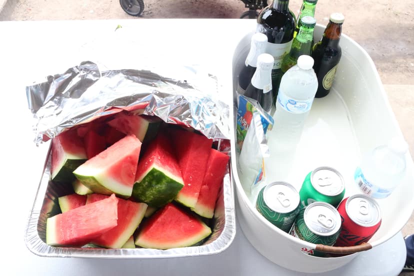 picnic 2025 7